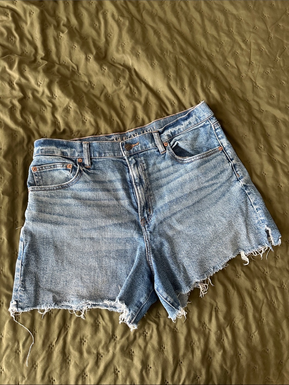 American Eagle Outfitters Highest Rise 90’s Boyfriend Short